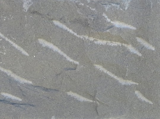Pindos